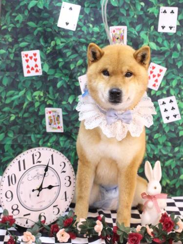 20250406シヴァくん